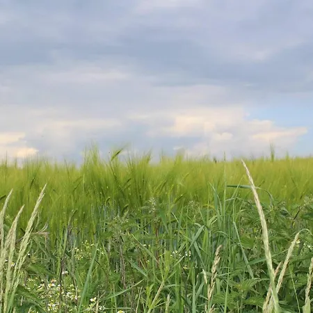 Penzion Kundratice *