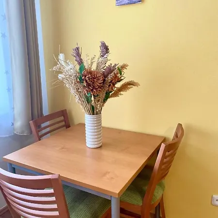 Alloggio in famiglia Penzion Kundratice Kundratice